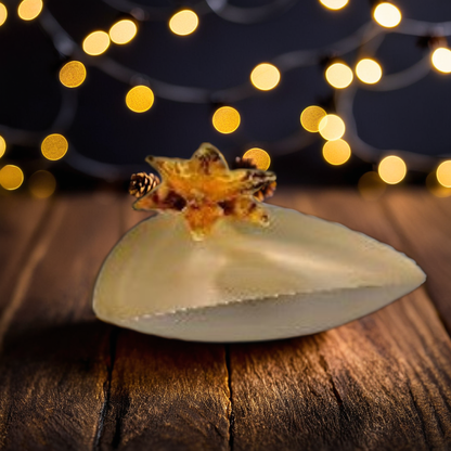 Starlit Bloom Accent Bowl