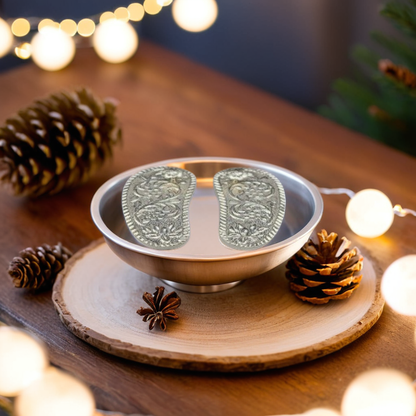 Divine Paduka charan